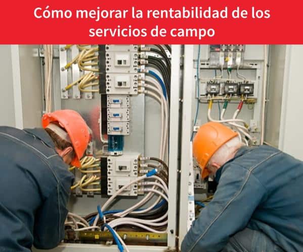 rentabilidad servicios de campo