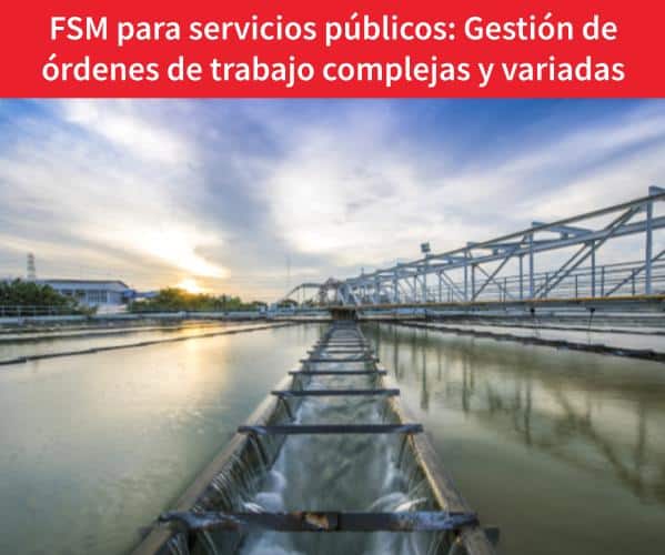 FSM-para-servicios-públicos