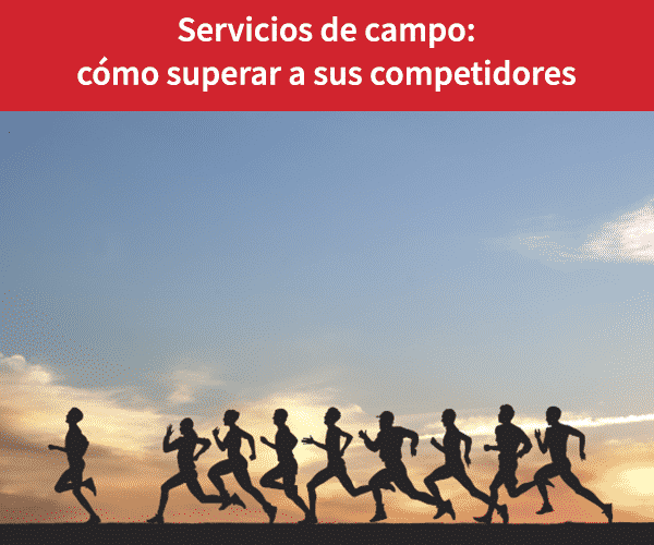 Proveedor software de servicios de campo